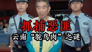 抓捕惡匪：云南“鴕鳥肉”之謎 #案件 #探案 #懸案 #懸疑 #案件解說