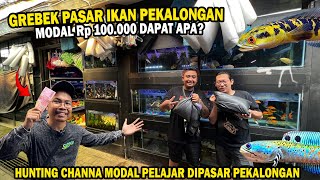 MODAL 100rb? GREBEK PASAR IKAN TERBESAR DI PEKALONGAN DAPAT CHANNA APA