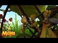 Bird attack - Maya the bee🍯🐝🍯