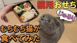 生まれて初めておせちを食べた【むちむち猫】がこちらです