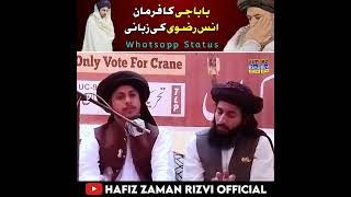 Allama Hafiz Anas Hussain Rizvi Short Status | Anas Rizvi Status Video | Khadim Hussain Rizvi | tlp