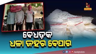 Khordha: 17 Gram Brown Sugar Seized, 3 Drug Peddlers Arrested | NandighoshaTV