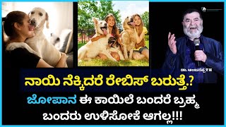 ಜೋಪಾನ ನಾಯಿ ನೆಕ್ಕಿದರೆ ರೇಬಿಸ್ ಬರುತ್ತೆ.? - Dr. Anjanappa TH