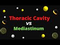 Thoracic cavity VS Mediastinum