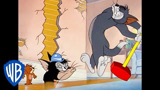 Tom y Jerry en Latino | Dibujos animados clásicos 19 | WB Kids