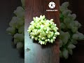 easy way to tie jasmine flowers