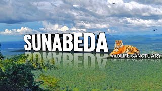 Nuapada to sunabeda 🐅🐯 wildlife sanctuary vlog ll sunadei jatra #rishi4vlog