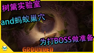 《微小世界生存戰》 GROUDED EP. 12 | 为打BOSS做准备 ，树篱实验室and蚂蚁巢穴 |