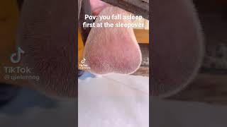 Never Fall Asleep First at the Sleepover