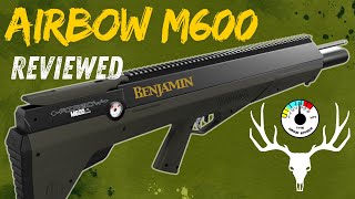 YOU HAVE TO SEE THIS! Benjamin Airbow M600 To Much Power?