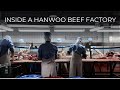 How Korea's Best Beef Is Made