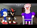 SONIC AND SHADOW VS ESCAPE GRUMPY GRAN IN ROBLOX