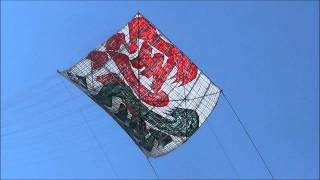 Japan's Biggest Kite(14.5x14.5meters and 0.95t)日本一相模の大凧まつり