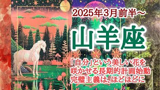 優しい優しい居場所🏰山羊座♑️２０２５年３月1〜15日頃まで