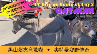 Scary drive between Kingman and Oatman with English Subtitles. 膽戰心驚的山路探索滿街野毛驢小鎮