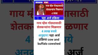 Cow And Buffalo Cowshed: गाय म्हैस गोठ्यासाठी शेतकऱ्यांना मिळणार 4 लाख रुपये अनुदान.!