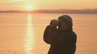 Victoria, un havre pour les oiseaux migrateurs | La semaine verte