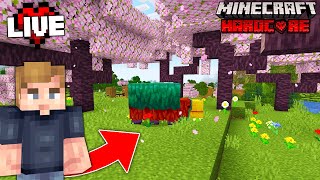 NEW Update in Hardcore Minecraft! - Come Join! | Chatting & Explore | Hardcore 1.20