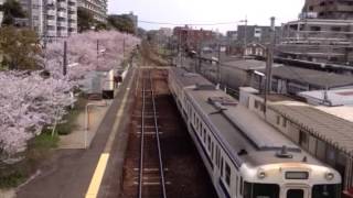 桜満開のJR香椎線和白駅連絡通路から見る47系ディーゼル列車行き交う風景