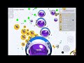 【Agar.io Mobile】煽り朝困鯖と18人維持のLive鯖潰し！