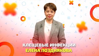 Клещевые инфекции