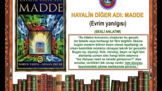 HAYALİN DİĞER ADI: MADDE - Evrim yanılgısı