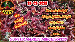 FEBRUARY-25-2025 GUNTUR MARKET MIRCHI RATES||గుంటూరు మార్కెట్ లో మిర్చి ధరలు||गुंटूर मिर्ची दरलू