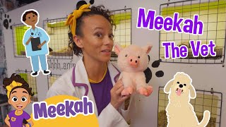 Meekah and The Pawsome Playtime! | Meekah Full Episode | Educational Videos for Kids