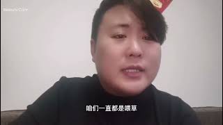 繁殖母牛一年的利润空间是多少？听听小王怎么说！