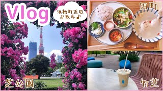 お散歩Vlog￼￼￼ 田町ランチ〜竹芝 芝公園🌹東京タワー🗼〜夜カフェごはん