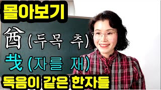 몰아보기 -   酋(두목 추), 𢦏(자를 재)  들어간 한자들