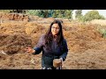 🔴how to make cocopeat from coconut कोकोपीट कैसे बनाया जाता है cocopeat gardening factory