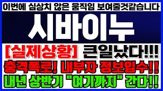 시바이누 코인 -🔴놀랍습니다! 시점 흥미로운 상황들에대해 풀어보도록하겠습니다!!