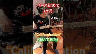 【レッチリ】ベース始めて3ヶ月の高校生が”Californication”を弾いてみた！#ベース #弾いてみた