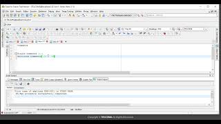 11 PLSQL Comments