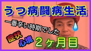 【うつ病】2ヶ月目の症状・解決策・過ごし方・心境など【闘病記in2018年6月】