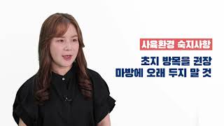 경주퇴역마 승용전환 순치 13편