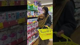 [ervadog]ホームセンターで愛犬とドッグスリングでお買い物！