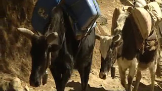 Rural Nepal - Himalayas - Sherpa's