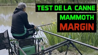 NOUVELLE CANNE POUR LA PECHE EN BORDURE : LA MAMMOTH MARGIN