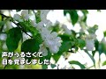 【猫の不思議な話】他とは少し変わっている家の猫。ある日、テレビをじっと見つめニュースを見つめていた。するとある会社が出ると猫パンチし、次の日驚くべきことが・・・【朗読】