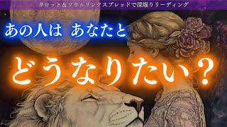 【決断の嵐】あの人はあなたとどうなりたい？すでに決断しているあの人。タロットカード＆Soul link spreadで深掘りリーディング✨