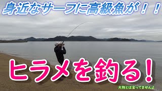 身近なサーフに高級魚！ヒラメを釣る！