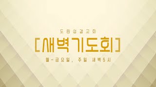 도원성결교회 월삭 새벽기도회(25.02.01)