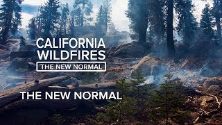 California Wildfires: The New Normal