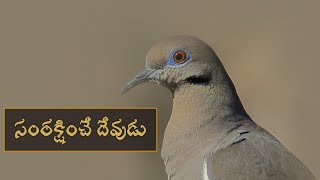 అనుదిన ధ్యానమాలిక||సంరక్షించే దేవుడు||91వ కీర్తన||TGMVM004||17-05-2021|| Bro Ranjith Singh Hosanna