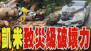 凱米致災級破壞力 女騎士遭路樹重壓身亡 巨型落石擊中車輛｜TVBS新聞 @TVBSNEWS02