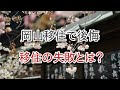 岡山移住で後悔…移住の失敗と後悔、デメリット。和気町の移住と仕事、独身の後悔と2ch、転職と岡山。起業の失敗と2chのランキング