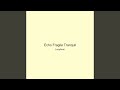 Echo Fragile Tranquil
