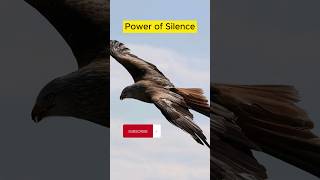 Power of Silence in life | Power of Silence #shorts #trending